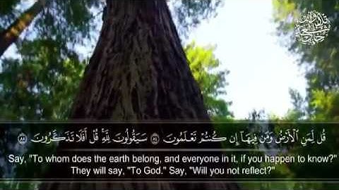 تلاوة رائعة وجميلة للقارئ إدريس الهاشمي لما تيسر من سورة المؤمنون