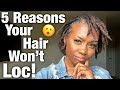 5 Reasons Why Your Hair Isn't Locking!