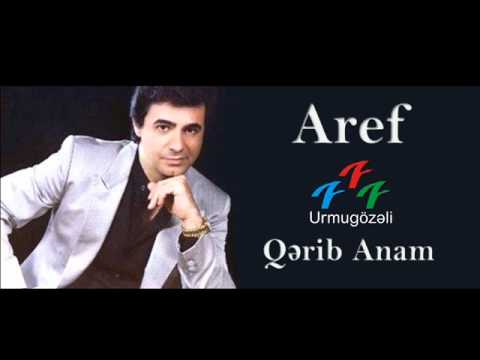 Aref - Gozum qaldi