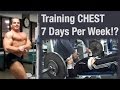 Can You Build A BIG CHEST By Working It 7 Days A Week?