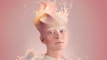 Liquid Portrait Pro Tutorial