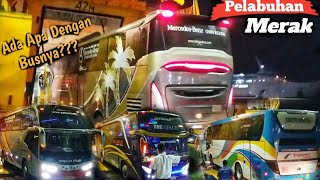 Bus SAN Di Terpaksa Mundur Di Pelabuhan Merak