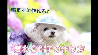 編まずに作れる 超簡単な愛犬用麦わら帽子 100均の紙紐を巻くだけ わんクォール