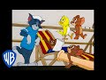 Tom & Jerry | The Nature of Jerry | Classic Cartoon Compilation | WB Kids