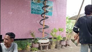 Lagu Ende Lio, Aku Menga Mo Na'u cover Novan di acara hari raya Natal🎄🔥🔥