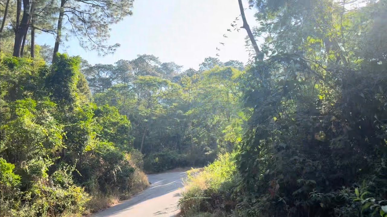 La montaña de Oaxaca