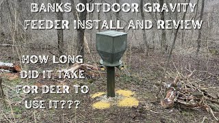 HOW LONG DOES IT TAKE DEER TO GET USE TO A FEEDER? Banks outdoor 300 lb gravity feeder review.