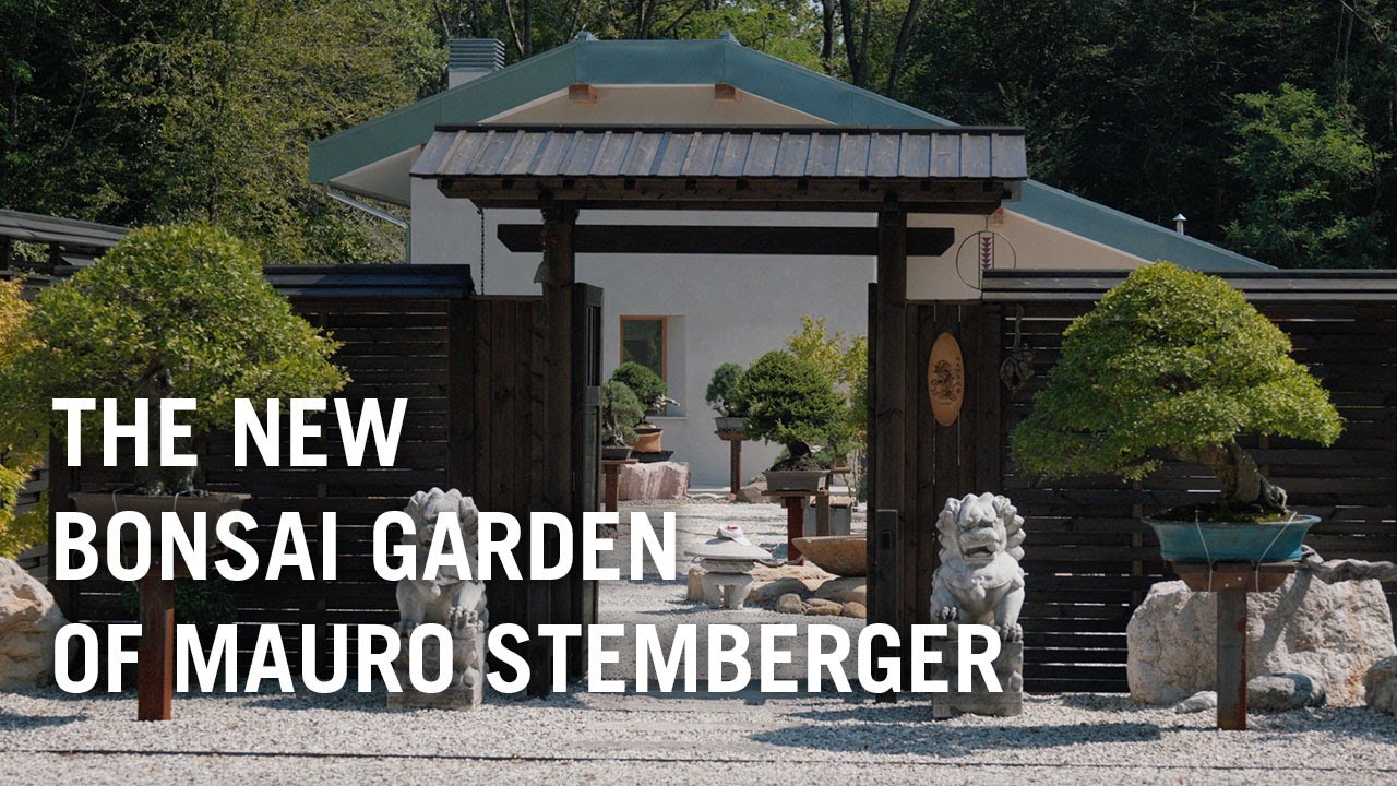 Mauro Stembergers new bonsai garden, opening day!
