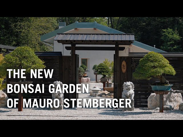 Mauro Stembergers new bonsai garden, opening day! - YouTube