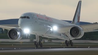 MSFS 2020 | Landing the Boeing 787-9 at Zurich (LSZH)