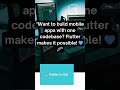 FLutter in 15s