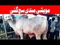 Muwaishi Mundi Suj Gai - 3 PM - Headlines - Atv News