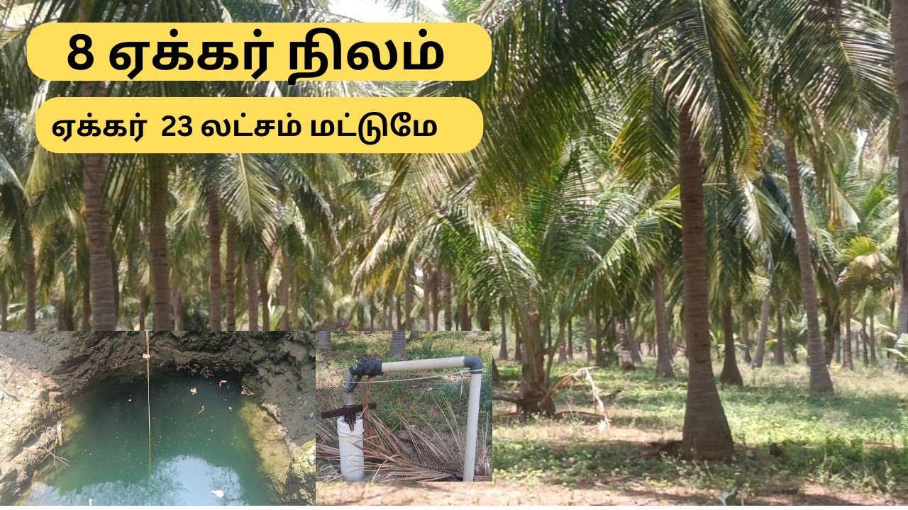 தென்னந்தோப்பு 8 ஏக்கர் விற்பனைக்கு வேடசந்தூர் அருகே Land For Sale In Low Cost #property #realestate