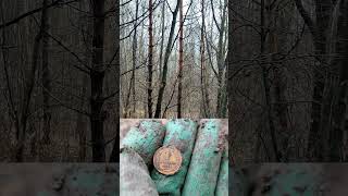 китайский металлоискатель тх850