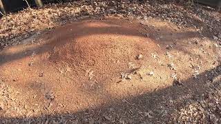 My Existing Backyard Trails (shortened edit)