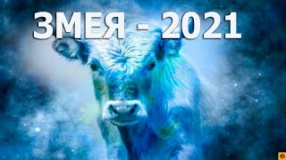 ЗМЕЯ - 2021. ТАРО прогноз.