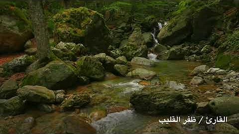 ظفر القليب - مقطع من سورة الاعراف