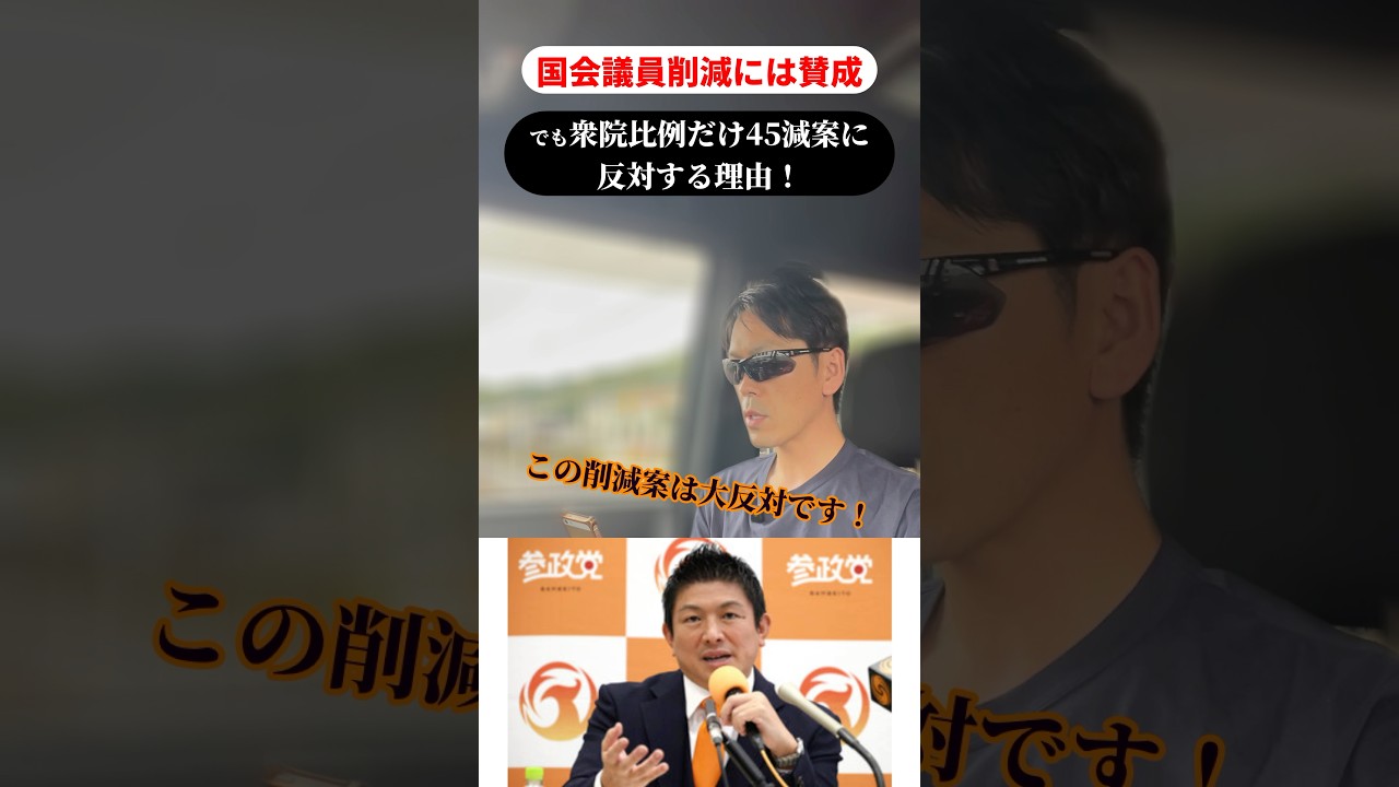 削減案