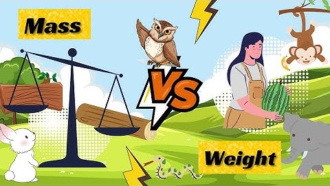 Mass vs. Weight: Understanding the Difference | A fun story about Mass and weight for kids