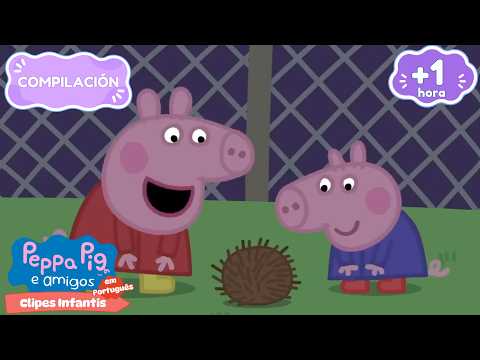 Peppa Pig: A Competição de Abóboras! 🎃 Episódios Completos