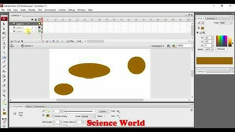 Working With Layer In Adobe Flash CS3 | Layer Adding , Renaming , Making Layer Folder