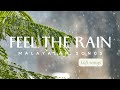 Malayalam rain mood songs  lofi songs  malayalam