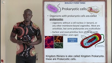 Deel 2; Herhaling biologieformulier 3