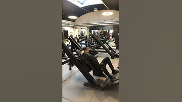 Hack Squat (Machine)