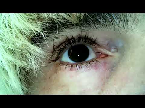Tim Burgess - Typical Music (Official Music Video)