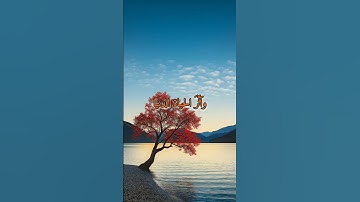 سورة النازعات #اسلام_صبحي #راحة_نفسية #تلاوة_خاشعة #quran #تلاوة_جميلة