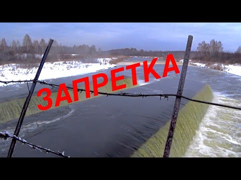 РЫБА МОНСТР НА