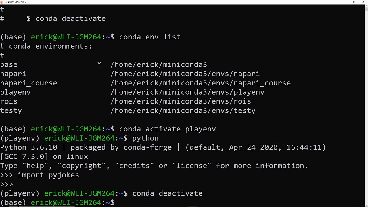 Master The Basics Of Conda Environments In Python