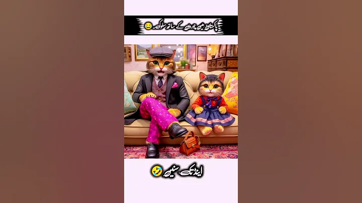 Watch the video about Funny Cat Talking Punjabi | Pakistan Men Choron Naal Salook #funnycat #catvideos