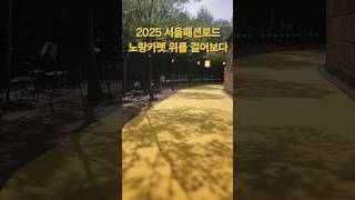 @ 신나게 노랑카펫 위를 걸어보자_서울패션로드_정동_덕수궁 돌담길_Seoul Fashion Road_한복 봄나들이 패션쇼 #서울패션로드 #덕수궁 #정동길 #서울시립미술관