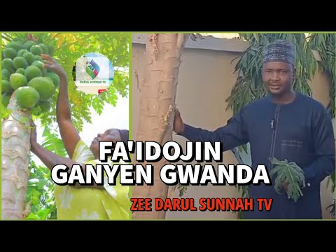 FAIDOJIN GANYEN GWANDA By  Dr Abdulwahab Abubakar Goni Bauchi