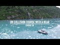 On Collision Course With A Bear - Ep. 120 RAN Sailing