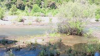Bear River flows May 13, 2026 600 cfs 2 channel