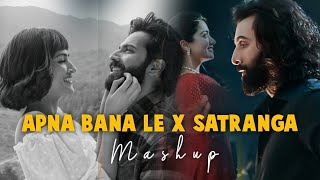 Apna Bana Le x Satranga Mashup 2024 | Lofi web2.0 | Arijit Singh