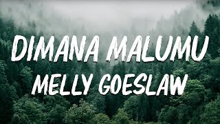 Dimana Malumu - Melly Goeslaw ( Lirik )