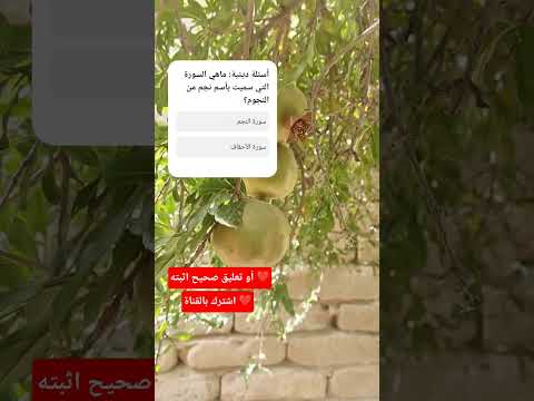 ماهي السورة التي سميت بأسم نجم من النجوم