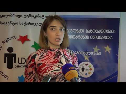 სამოქალაქო  საზოგადოების  განვითარების  ინიციატივის  იმერეთის  რეგიონული  ჰაბის პრეზენტაცია