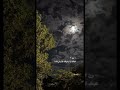 بسام مهدي وين محبتك بدون موسيقى 