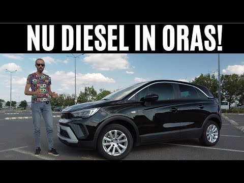 Video: Dezavantajul de a deține un cal