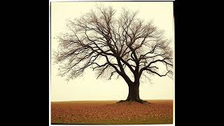 Echoes of Goodbye - A Heartfelt Folk-Country Ballad