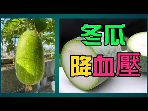 [降血壓 蔬菜] 降血壓 蔬菜類：冬瓜含硒蛋白，在調節 血壓方面舉足輕重，降低 高血壓風險！| 高血壓 蔬菜|不吃藥 也能降血壓