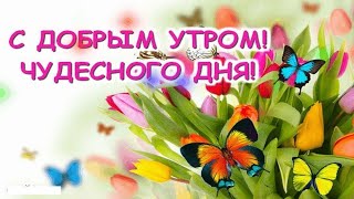 Самое Красивое Пожелания С Добрым Утром!