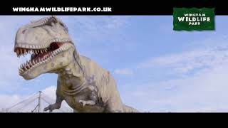Wingham Wildlife Park Advert 2022