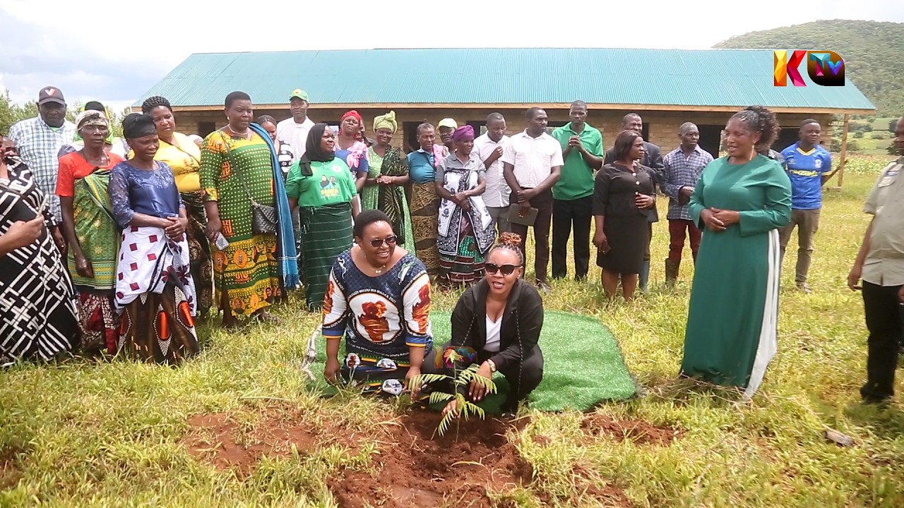 UMOJA WA WANAWAKE WA CCM NA WABUNGE WA VITI MAALUM SONGWE WAMUUNGA MKONO SAMIA UTUNZAJI MAZINGIRA.