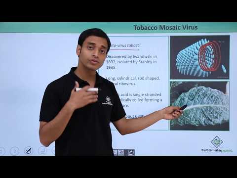 Virus - Tobacco Mosic Virus
