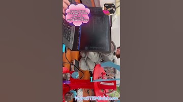 Human-Robot Interaction Course: Lab 3 - A Conversation with Blossom